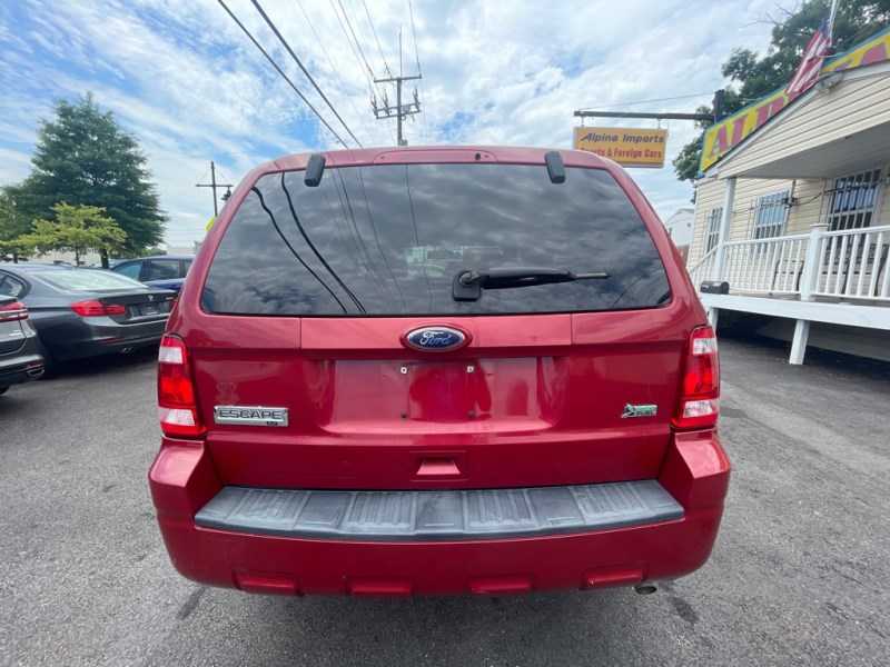 2010 Ford Escape XLT photo 5