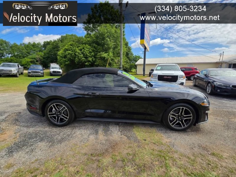2020 Ford Mustang EcoBoost Convertible Premium's photo